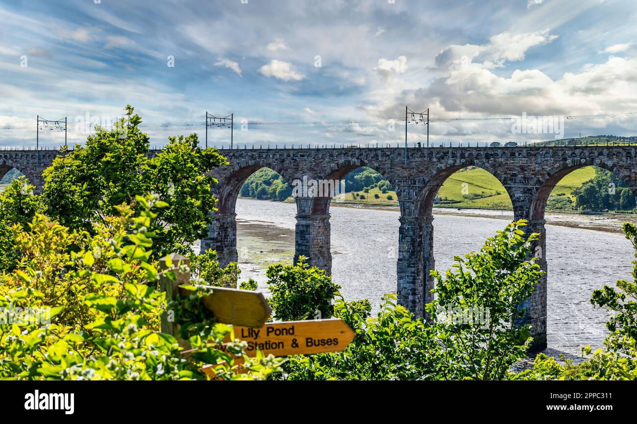 Viaducto ferroviario sobre el río Tweed, Berwick-upon-Tweed, Northumberland, Inglaterra, Reino Unido Foto de stock