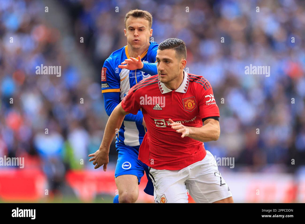 Diogo Dalot #20 del Manchester United es desafiado por Solly March #7 de Brighton y Hove Albion durante el partido de semifinal de la Copa FA de Emirates Brighton y Hove Albion vs Manchester United en el estadio de Wembley, Londres, Reino Unido, 23 de abril de 2023 (Foto de Conor Molloy/News Images) Foto de stock