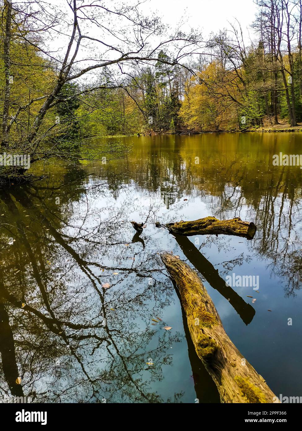 Alemania, Stuttgart Parque de la ciudad de vahingen steinbachsee lago agua hermoso paisaje natural en primavera Foto de stock