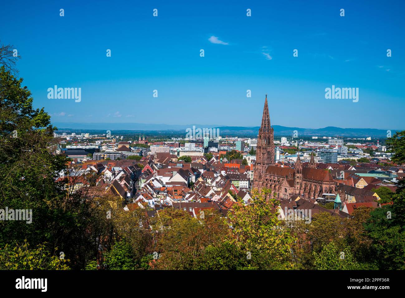 Alemania, Freiburg im breisgau ciudad baden schwarzwald vista panorámica del horizonte de la ciudad vieja sobre el techo y el edificio de la iglesia de muenster detrás de árboles verdes Foto de stock