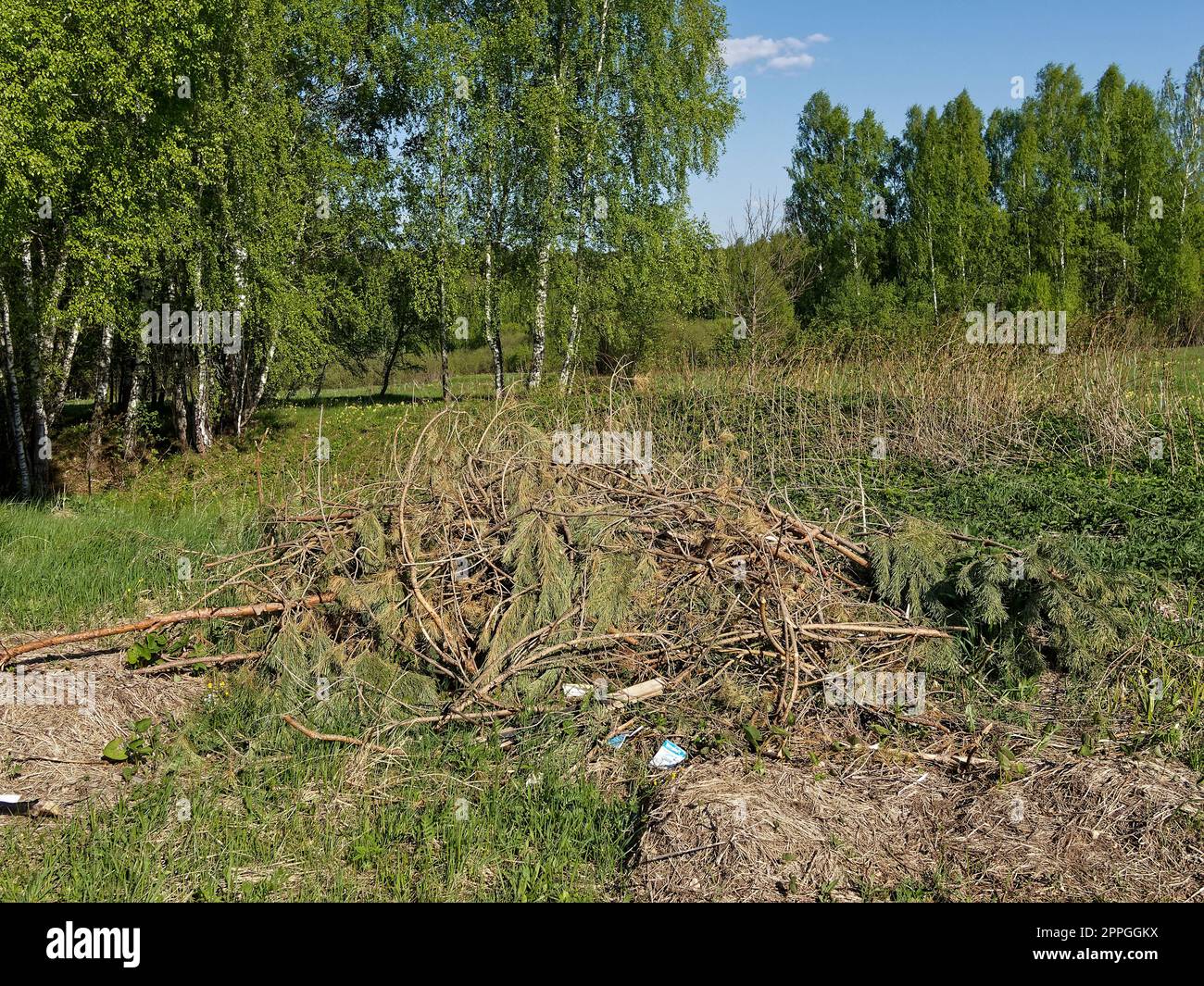 Una pila de basura cerca del bosque en la primavera, rusia Foto de stock