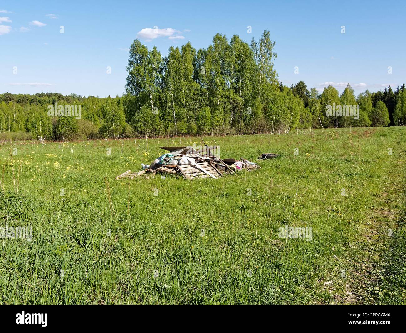 Una pila de basura cerca del bosque en la primavera, rusia Foto de stock