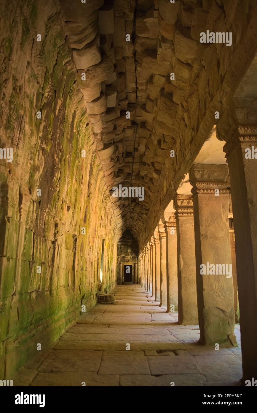 Galería interior de Las ruinas del templo Ta Prohm, situado en el complejo Angkor Wat cerca de Siem Reap, Camboya. Foto de stock