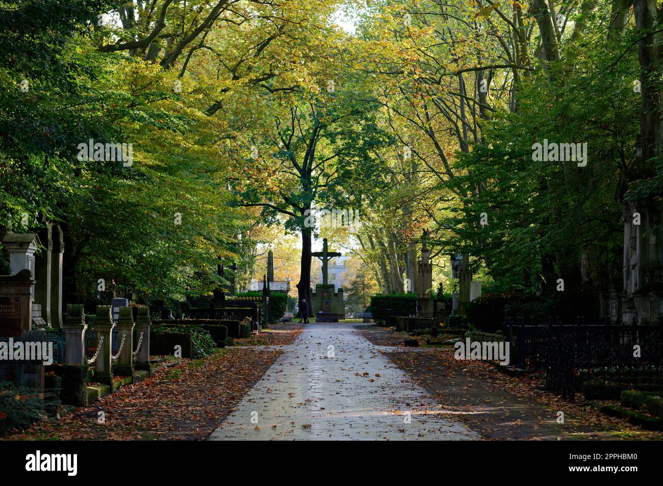 avenida en el cementerio histórico melaten en otoño Foto de stock