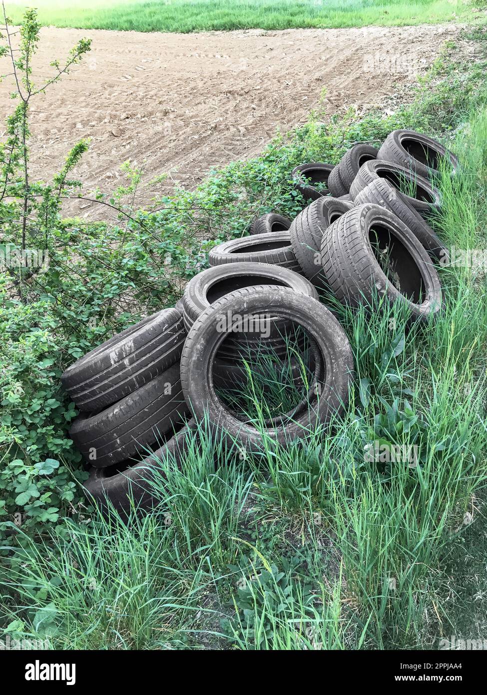 Neumáticos usados para automóviles arrojados entre el campo, precedente de  la contaminación de la naturaleza Fotografía de stock - Alamy