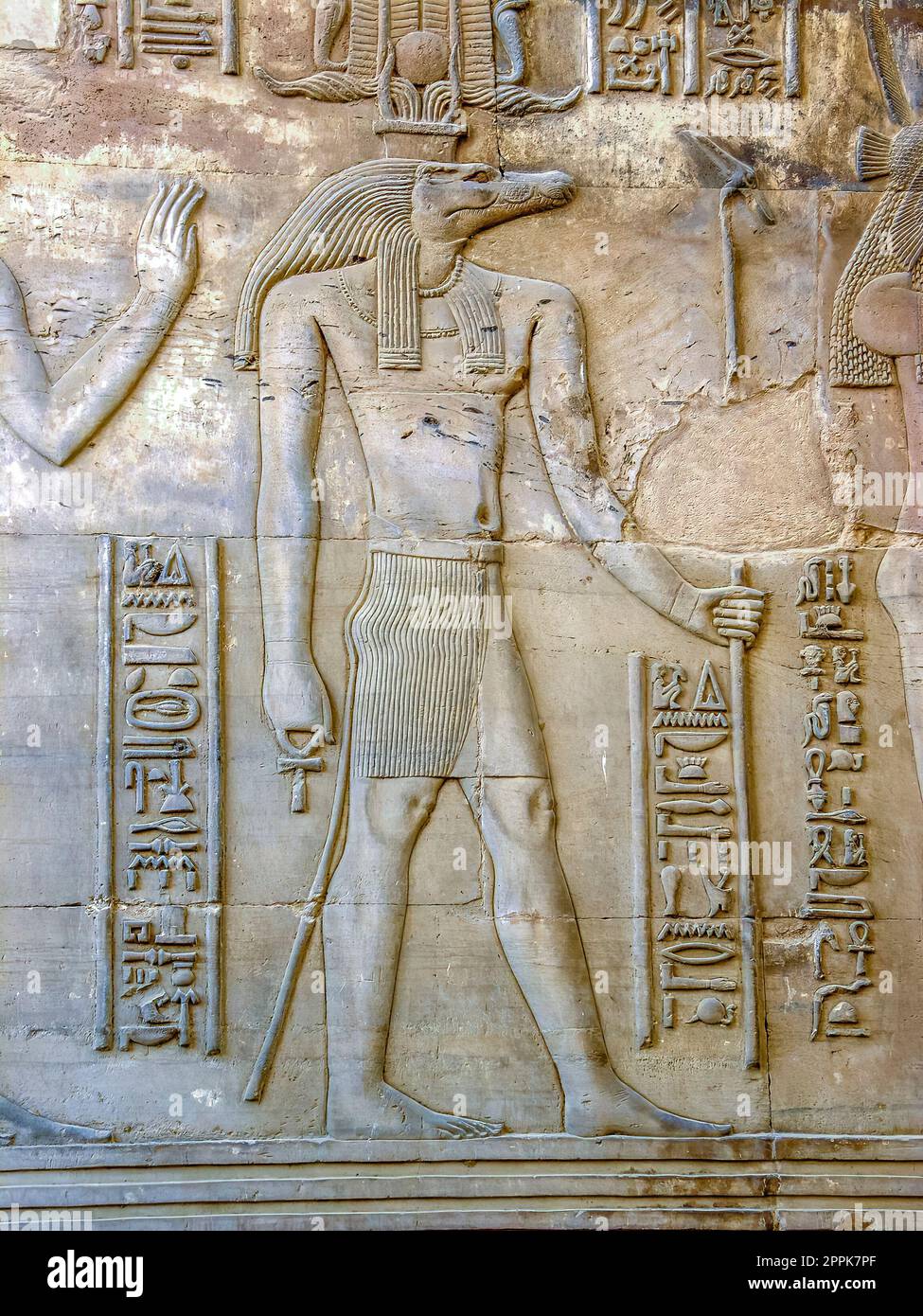 Cabeza de cocodrilo que representa un antiguo dios mitológico egipcio  tallado en la pared del templo de Kom Ombo cerca de Asuán. Un pueblo de  enorme signi arqueológico Fotografía de stock -