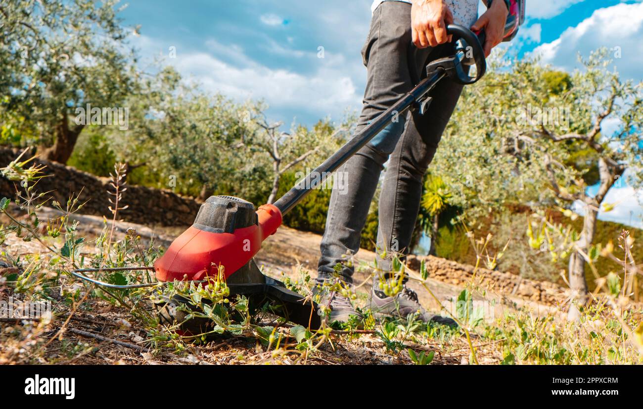 un joven caucásico corta la hierba cultivada de una tierra de cultivo utilizando un cortador de cuerdas eléctrico inalámbrico Foto de stock