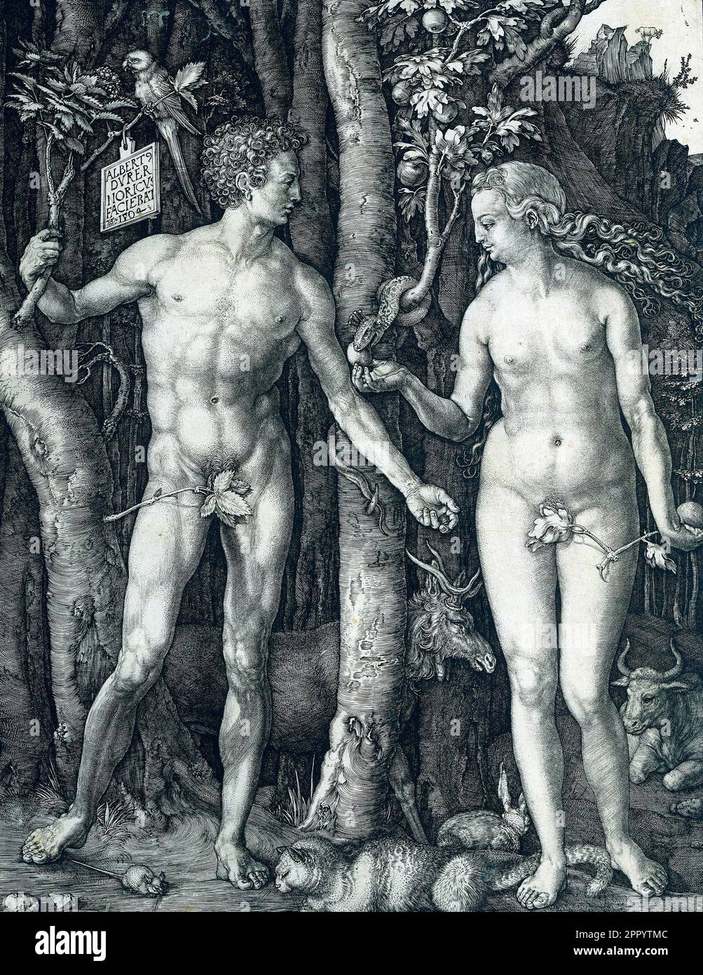 Adán y Eva por Albrecht Dürer, 1504 Foto de stock