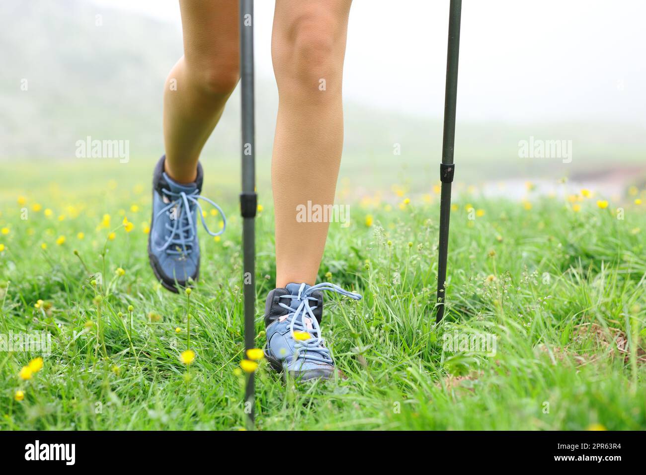 Piernas de excursionista caminando un día de niebla en la montaña Foto de stock