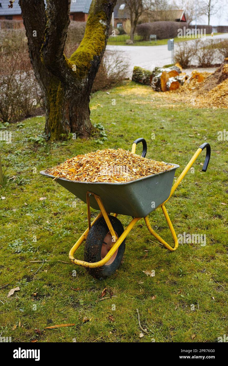Una carretilla llena de astillas de madera en el fondo del jardín. Milch o  corteza utilizado como compost en hierba verde exuberante en primavera.  paisajismo que se realiza en frongow con herramientas
