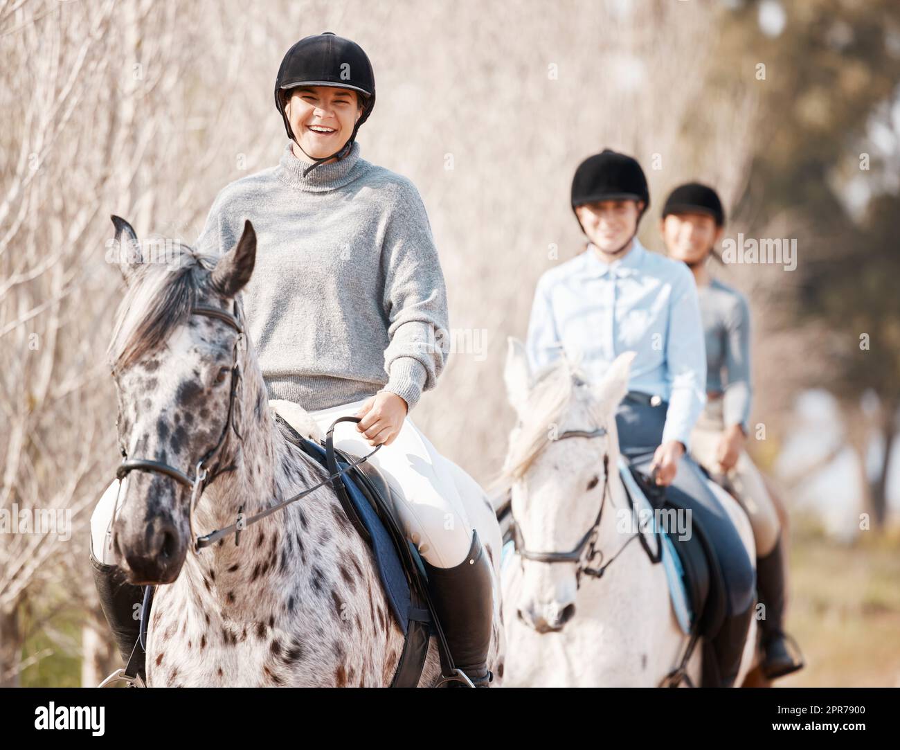 Un buen caballo es difícil de reemplazar. Tiro de tres mujeres jóvenes atractivas a caballo en una granja. Foto de stock