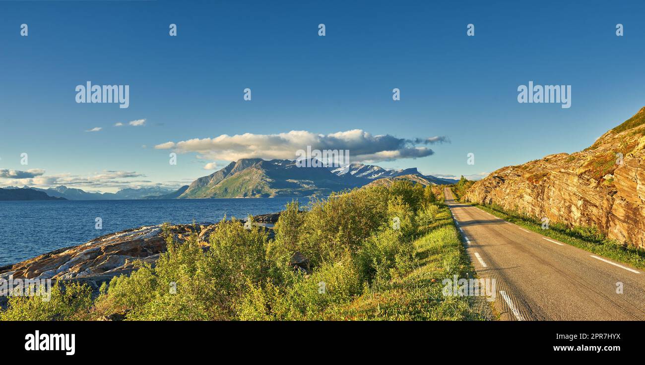 Vista de una carretera y vegetación verde que conduce a una idílica zona aislada en verano. Grandes árboles verdes que rodean una calle vacía en el campo. Paisaje de vegetación solo un camino concreto Foto de stock