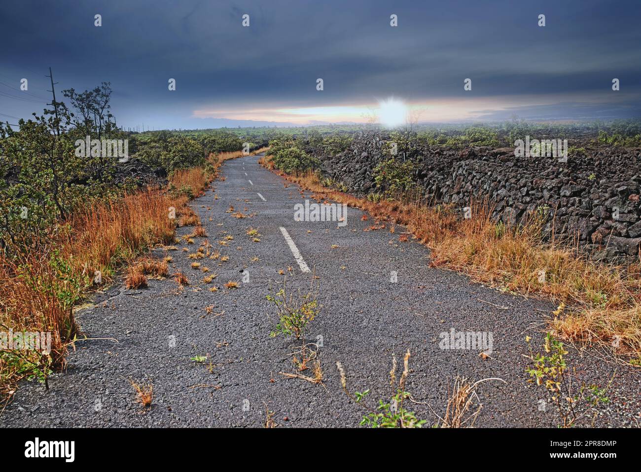 Camino vacío a través de un campo con hierba quemada y cielo nublado con espacio de copia. Un camino de campo curvado o camino de asfalto abierto entre tierra seca cerca de la ladera volcánica de Mauna Kea, Hawái, Big Island Foto de stock