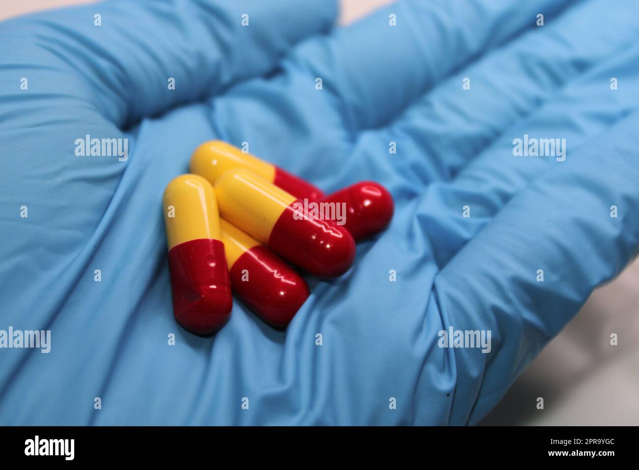 Cápsulas de color amarillo-rojo con medicina de cerca en la mano de un médico en un guante médico azul Foto de stock