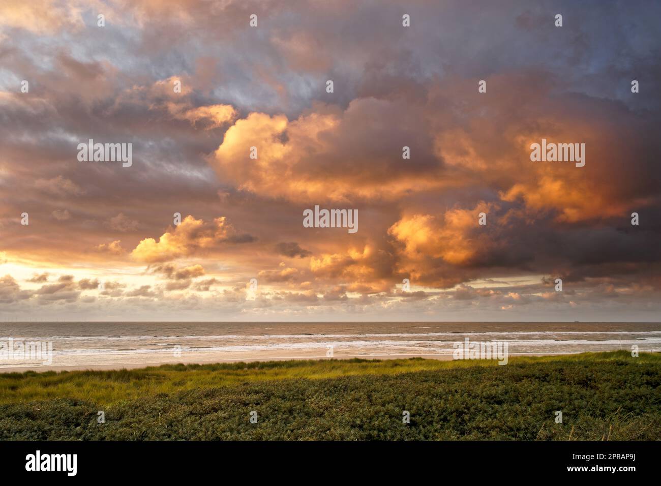 Vista al océano al atardecer. Las nubes están iluminadas por el sol. Reserva de dunas de Holanda Septentrional, Egmond aan Zee, Países Bajos. Foto de stock