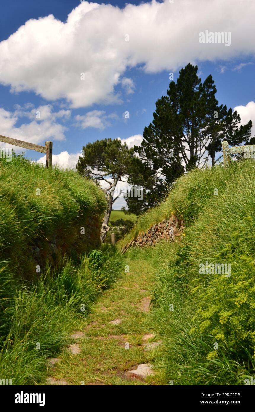 Hobbiton Movie Set y Hobbiton Homes en Nueva Zelanda Foto de stock