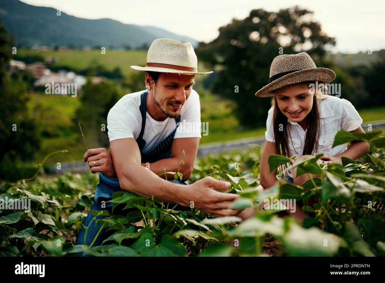 Transmitir su riqueza de conocimientos agrícolas. Plano completo de un hombre guapo y su hija joven trabajando en los campos de su granja. Foto de stock
