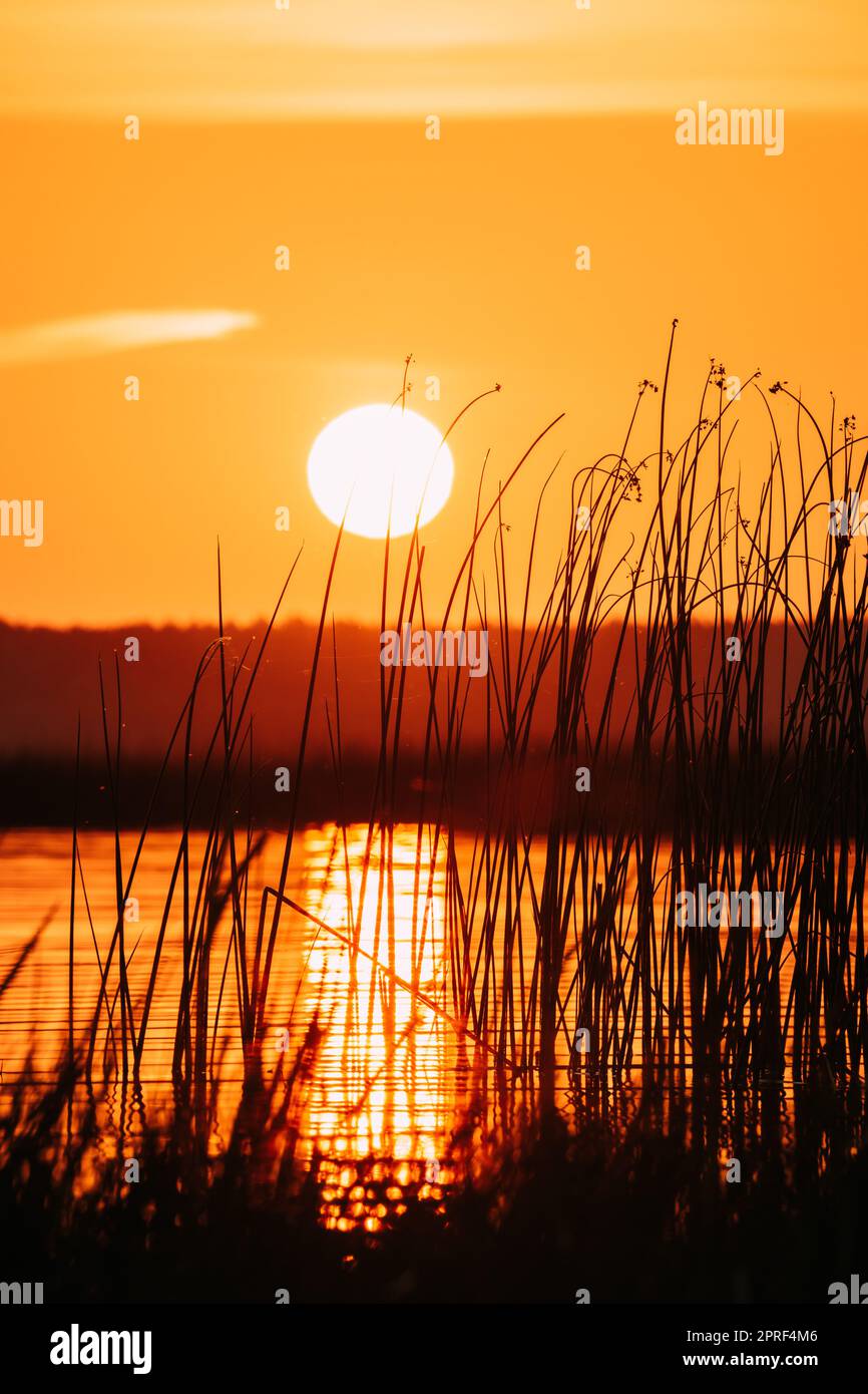 Tomar el sol sobre el horizonte del río Lake al atardecer. Cielo Natural en colores cálidos agua. Aguas del Sol Foto de stock