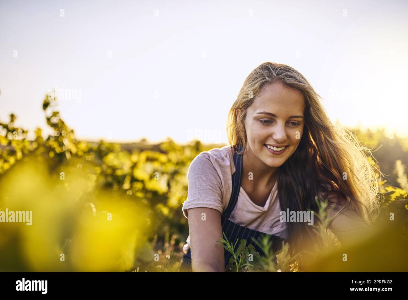 Una joven cuidando sus cosechas en una granja. Foto de stock