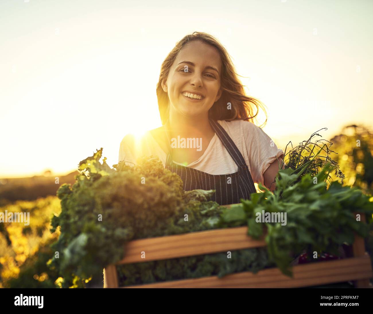 Nada más que el orgánico en mi granja. Una mujer joven que sostiene una caja llena de productos recién recogidos en una granja. Foto de stock