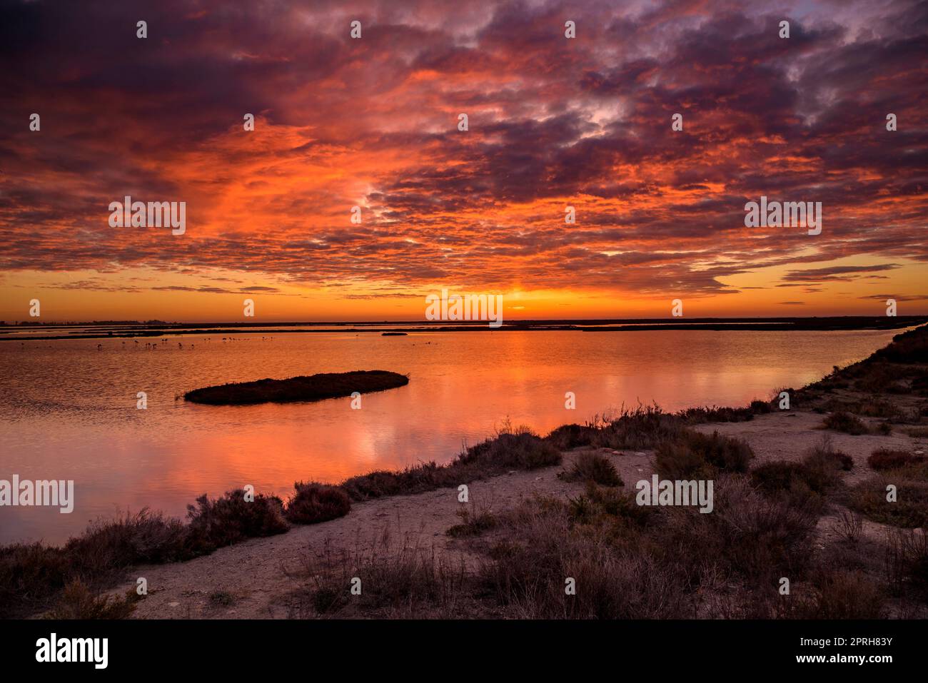 Amanecer rojo desde un mirador en las lagunas de las salinas de Sant Antoni  y el museo del Delta de la Món Natura en el delta del Ebro (Tarragona,  Cataluña Fotografía de