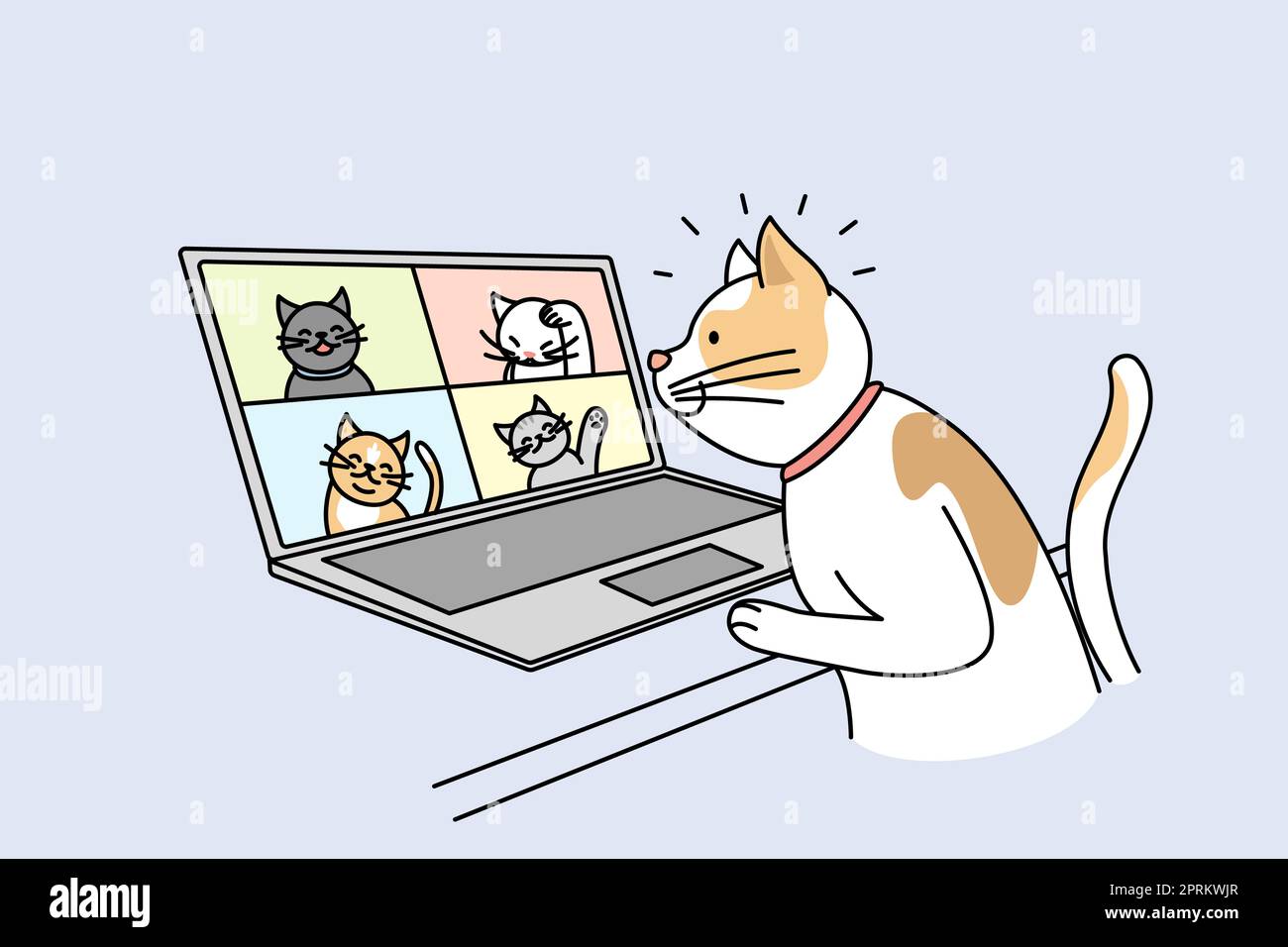 Lindo gato hablar en videollamada con gatos en la computadora. Mascota  Tener webcam conversación en el portátil con gatitos. Concepto de  tecnología. Ilustración vectorial Fotografía de stock - Alamy