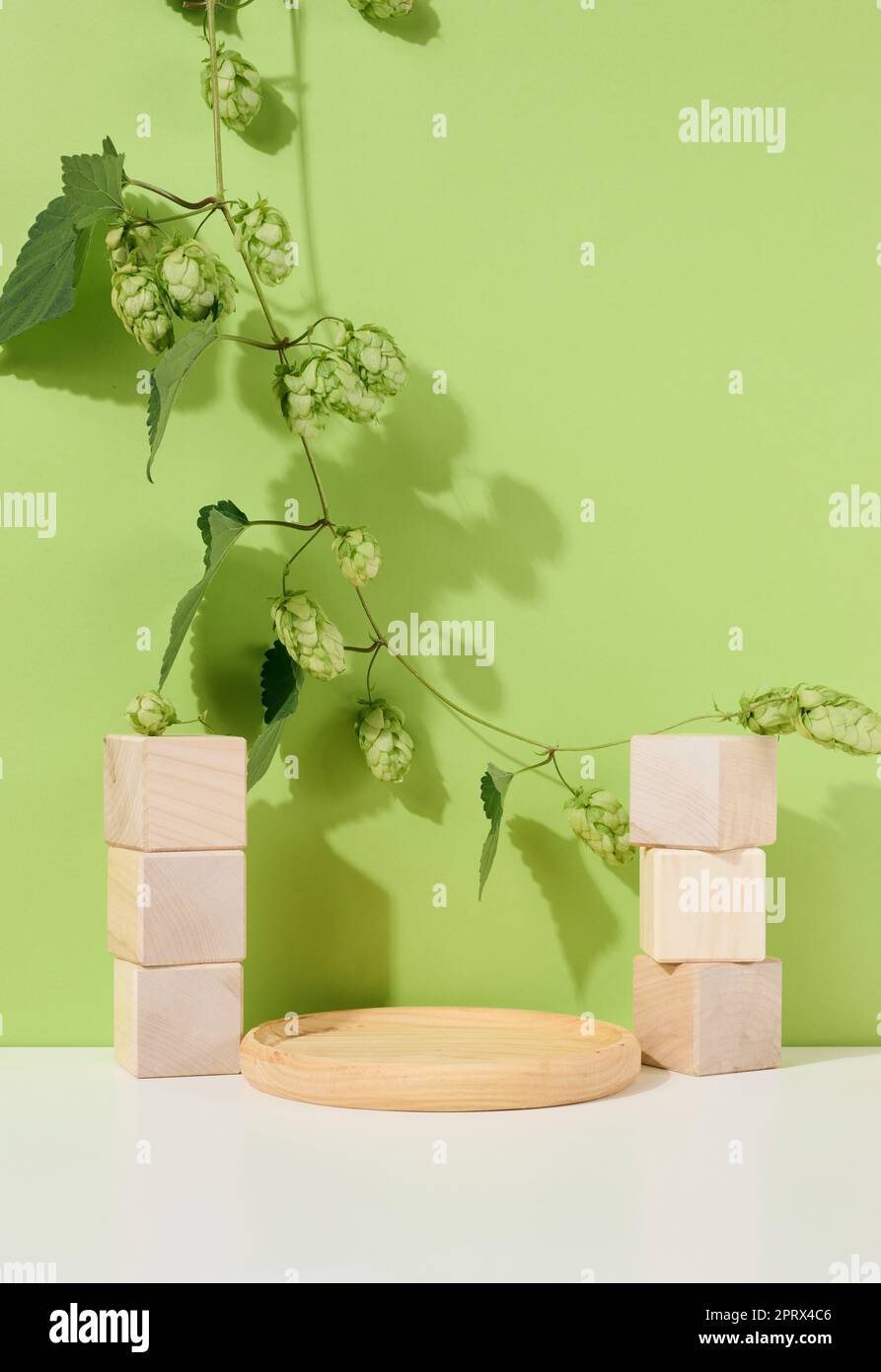 Podio vacío de madera redonda y cubos de madera con ramas y hojas verdes sobre una mesa blanca. Foto de stock