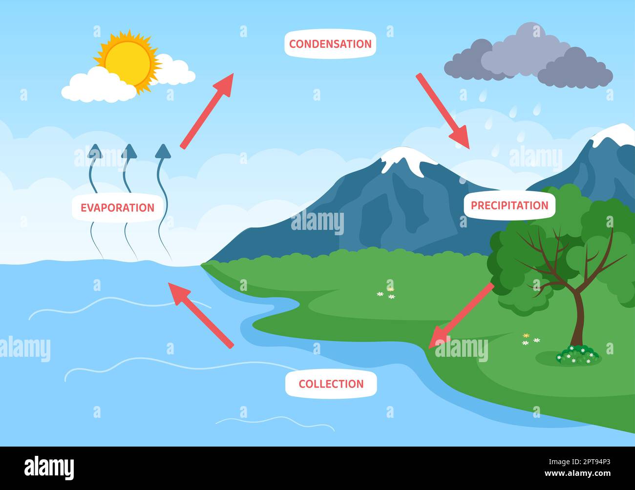 Agua Ciclo de evaporación, condensación, precipitación para la