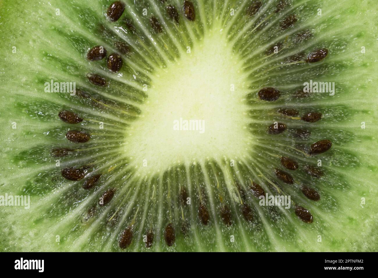 foto macro de un bel kiwi verde, kiwi verde en primo piano Foto de stock
