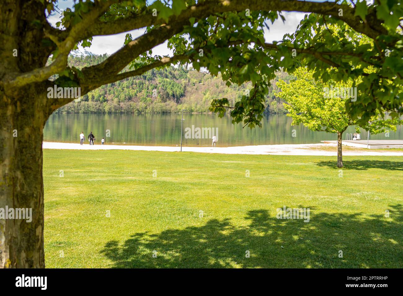 Vista del parque del lago Levico. Trentino Alto Adige, Italia Foto de stock