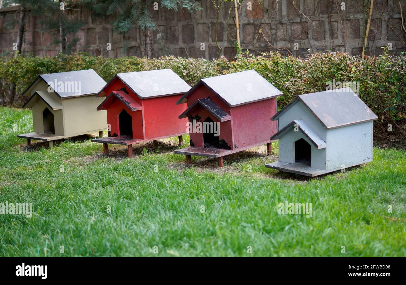Perreras de madera para gatos sin hogar en la hierba Foto de stock