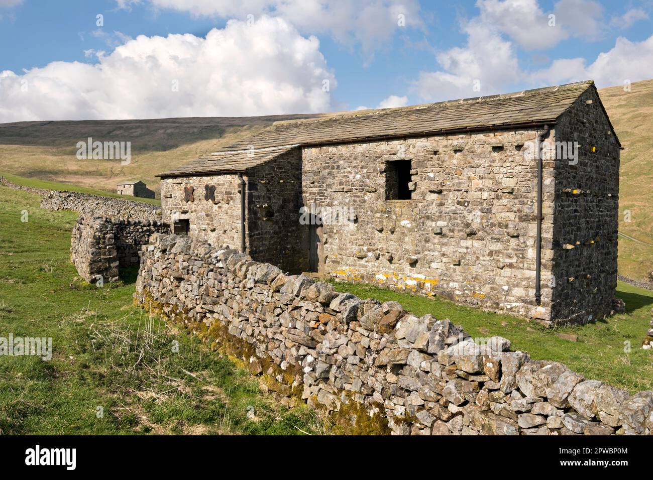 Graneros de campo tradicionales, Foxup cerca de Halton Gill, Littondale, Yorkshire Dales National Park, Reino Unido Foto de stock