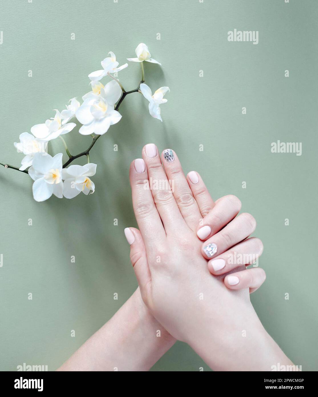 Vista superior de las manos femeninas con flores que muestran una manicura elegante y ordenada sobre un fondo de hormigón Foto de stock