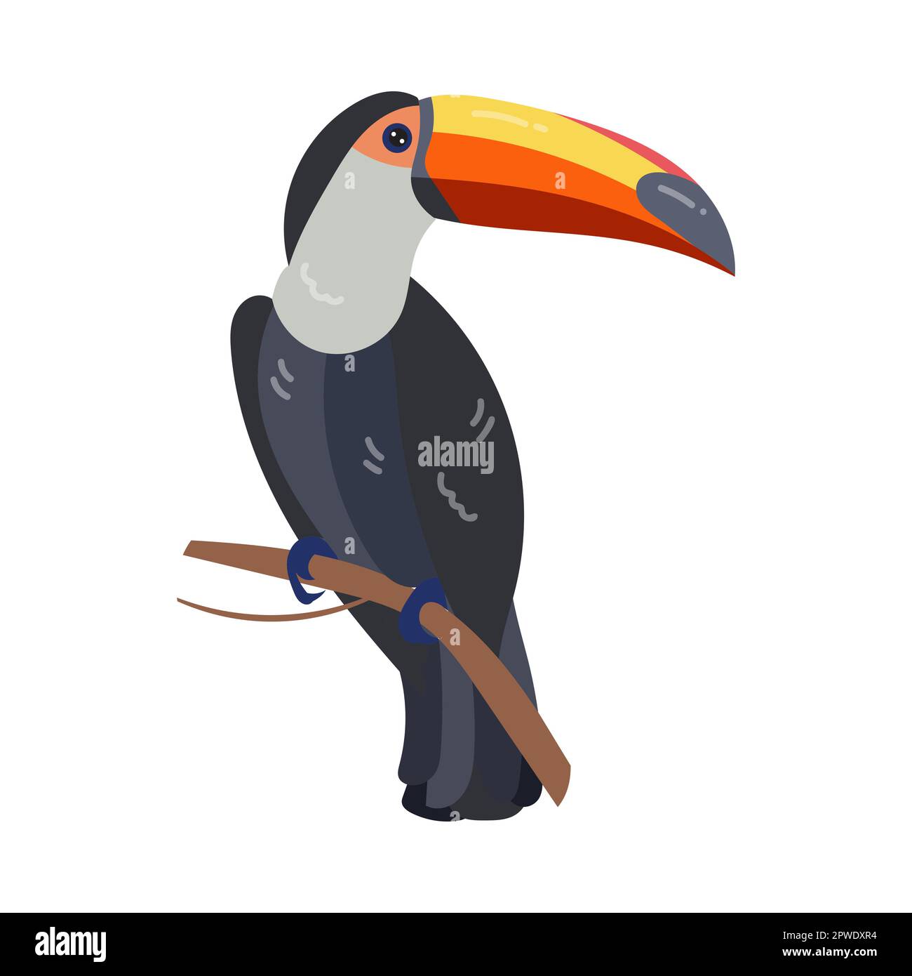 Tucán y pájaro brillante tropical Ilustración del Vector