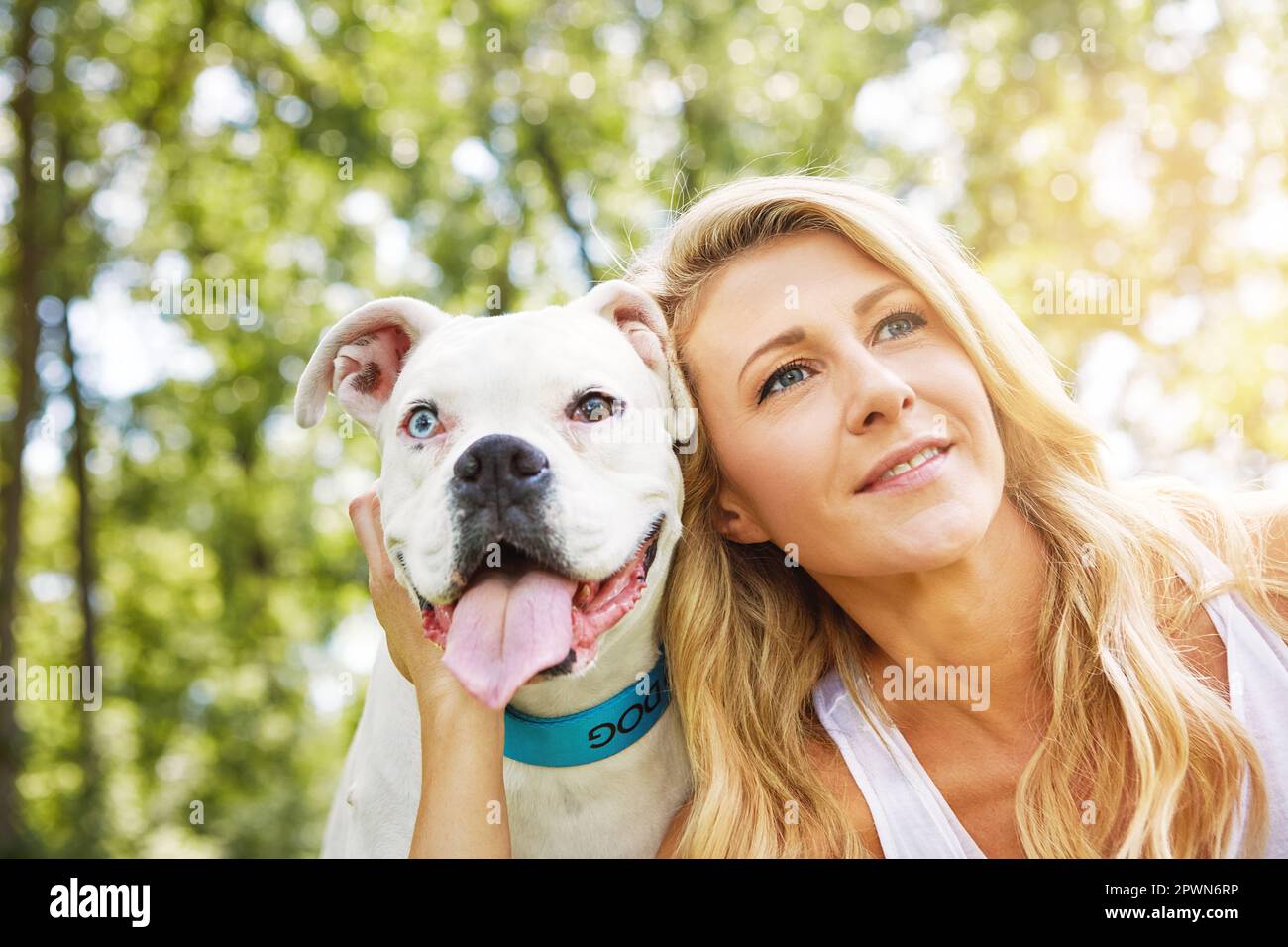 Los perros te muestran el significado del amor incondicional. una mujer  joven que pasa tiempo con su perro en el parque Fotografía de stock - Alamy
