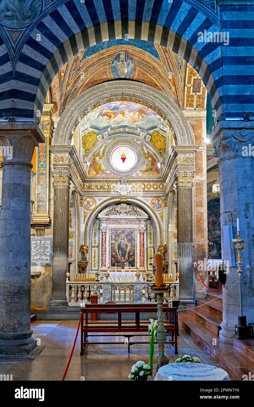 San Gimignano. Toscana. Italia. El interior de la Collegiata di Santa