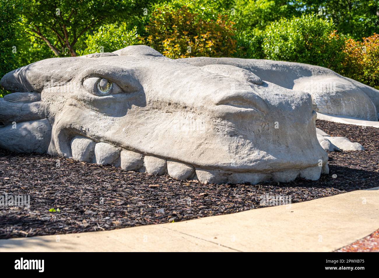 Dragón gris del jardín a lo largo de la serpenteante pasarela hacia el
