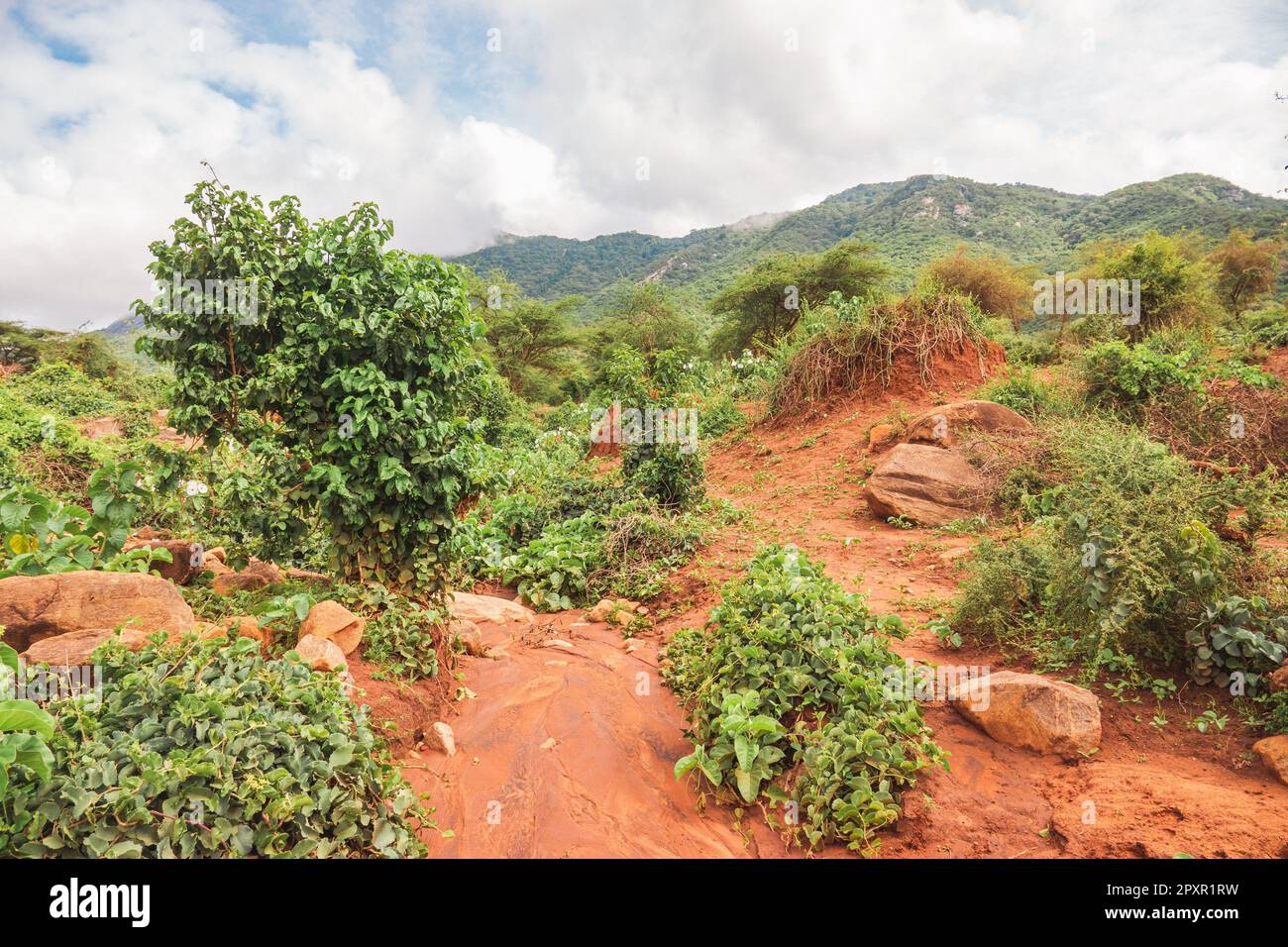 Vista escénica de las colinas de Namanga en Kenia Foto de stock