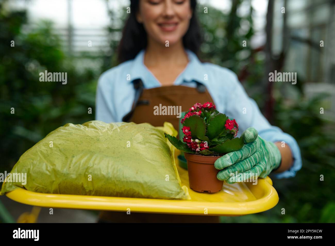 Retrato de joven jardinero femenino florista que trabaja en el jardín Foto de stock