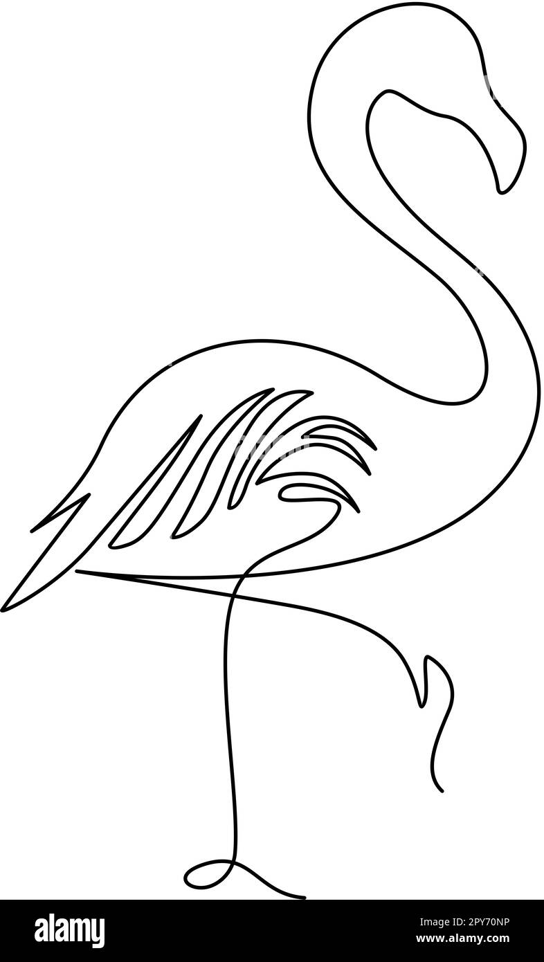 Flamingo vector Imágenes de en blanco y -