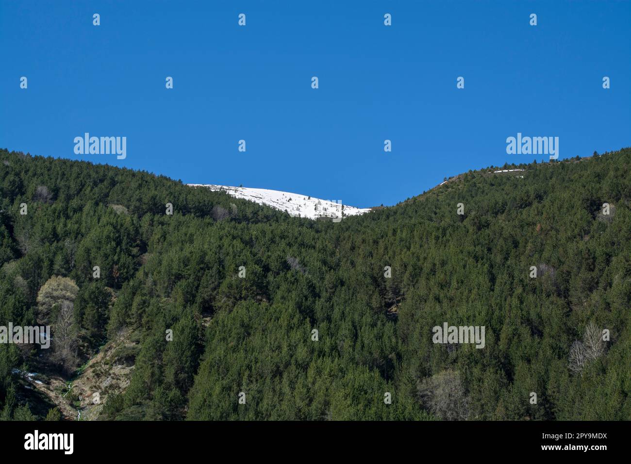 Paisaje de montañas de los Pirineos en primavera Foto de stock