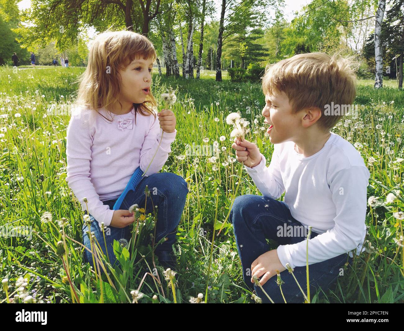 Muchacho y muchacha en la hierba. Los niños lindos recogen las flores del prado y soplan en las semillas del diente de león. Hermano y hermana llevan blusas blancas y jeans azules. Foto de stock