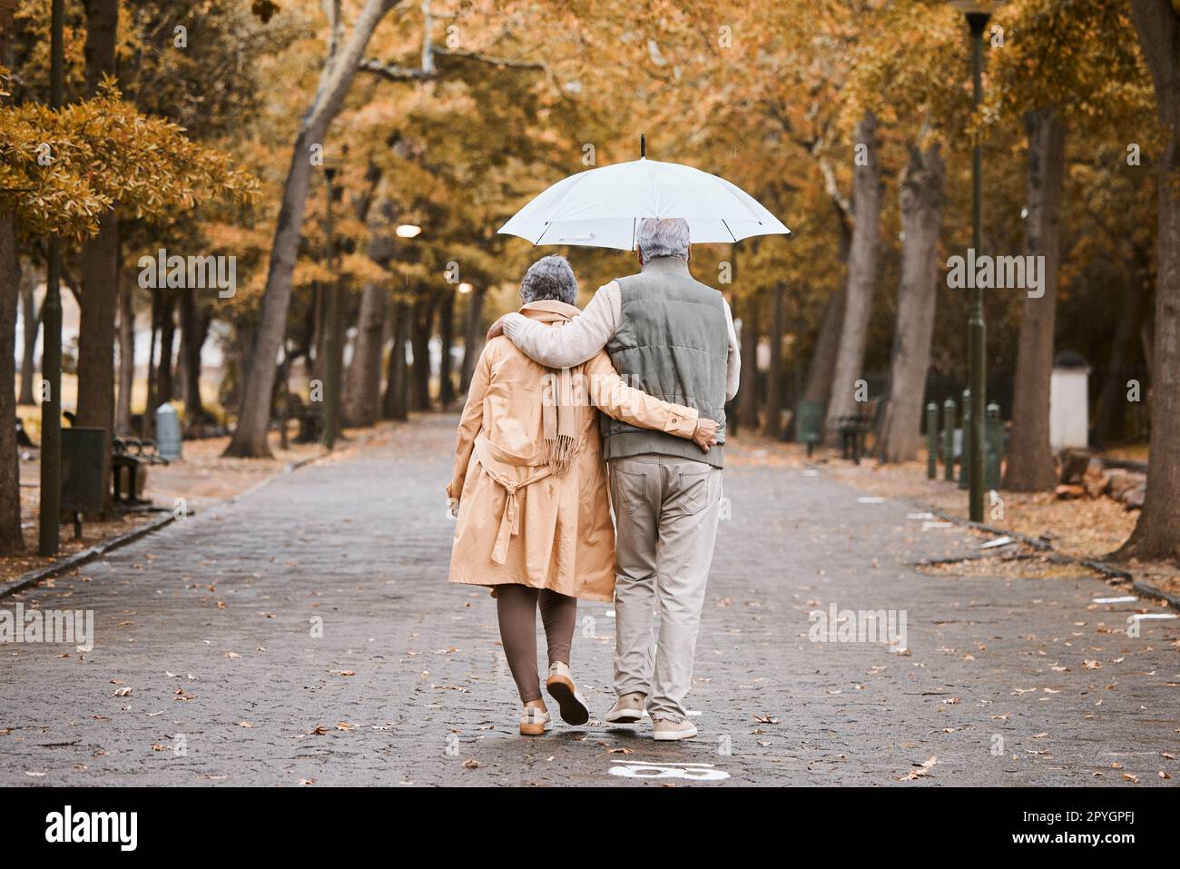 Ancianos, pareja caminar en el parque con sombrilla y aire fresco, al aire libre en la naturaleza en otoño para el ejercicio y la jubilación juntos. Abrazo, amor y cuidado con los árboles, hombre y mujer mayores en Nueva York vista trasera. Foto de stock