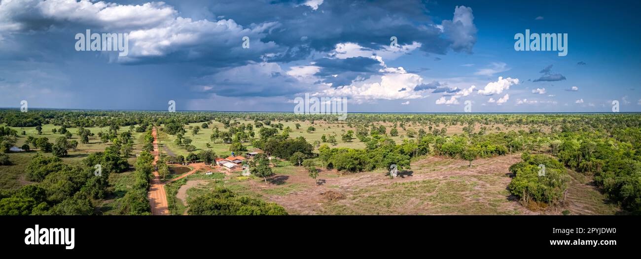 Vista Aérea Panorámica Del Paisaje Típico De Pantanal Con