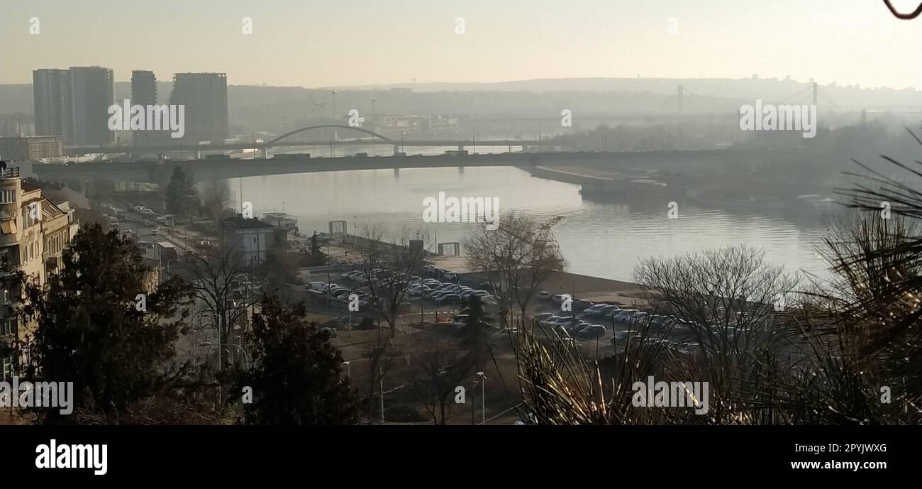 Bonita vista desde Kalemegdan, Belgrado, Serbia. Tiempo soleado, vista del río Sava. Ramas de pino con agujas largas. Luz solar nocturna. Bonita vista de la vida de la gran ciudad Foto de stock