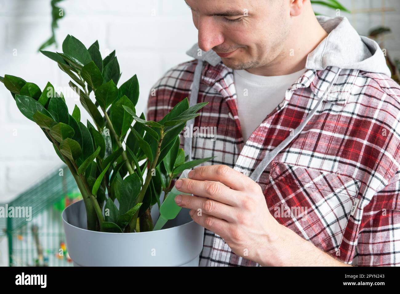 Fertilizante Por Goteo Para Plantas En Maceta Zamiokulkas Estimulador