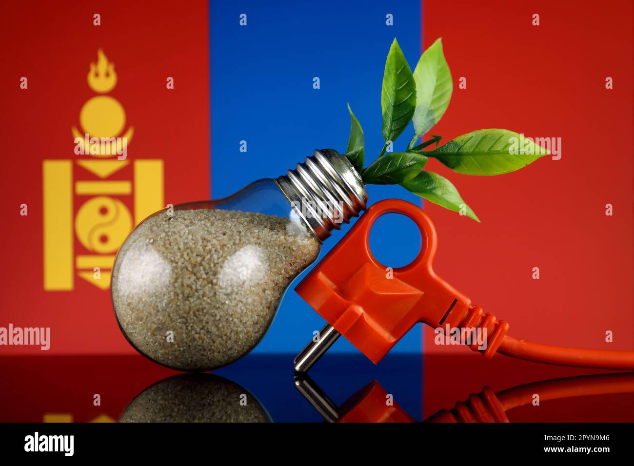 Plug, planta que crece dentro de la bombilla y la bandera de Mongolia