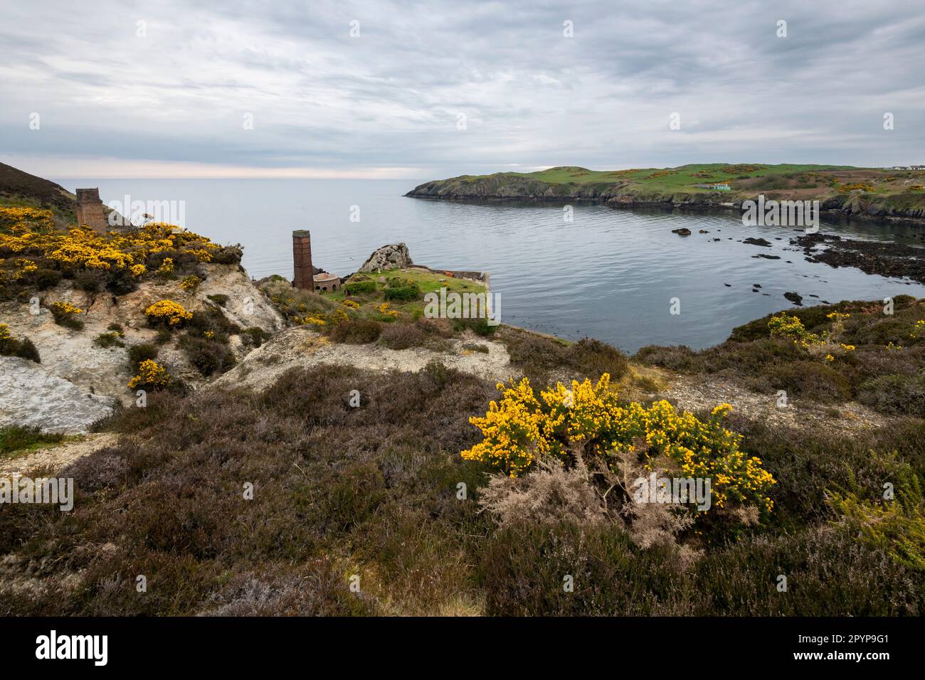 Viejos ladrillos vistos desde el camino de la costa en Porth Wen cerca de Amlwch, Anglesey, Norte de Gales. Foto de stock