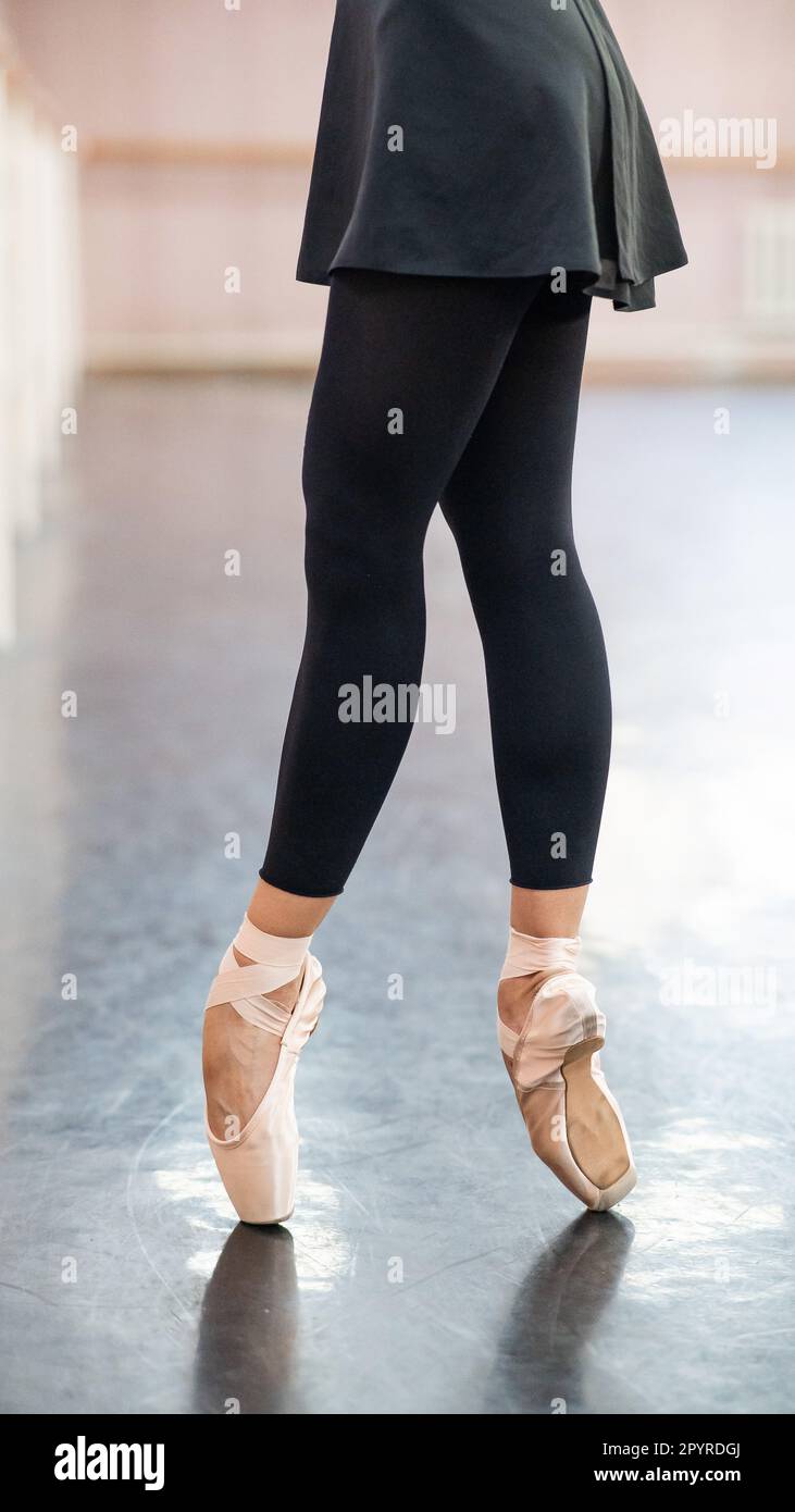 Primer plano pero bailarinas en zapatos de punta una clase de baile Fotografía de stock Alamy