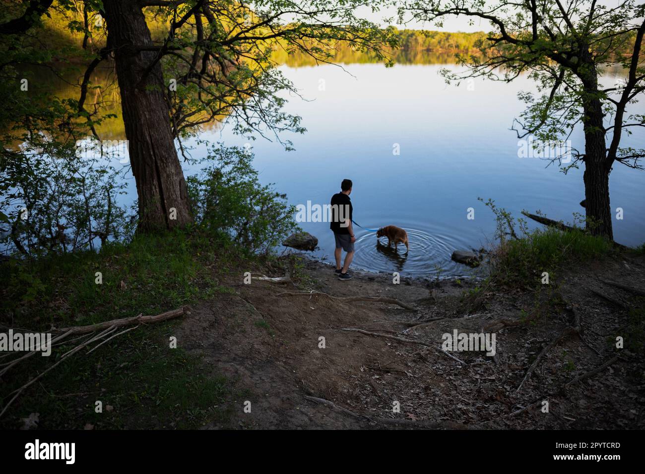 Hombre y perro con los pies en el agua del lago fuera del camino del parque Foto de stock